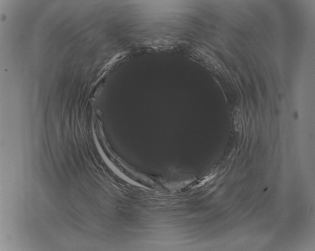 X0000071901298200607281753