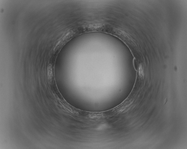 X0000071901299200607281753