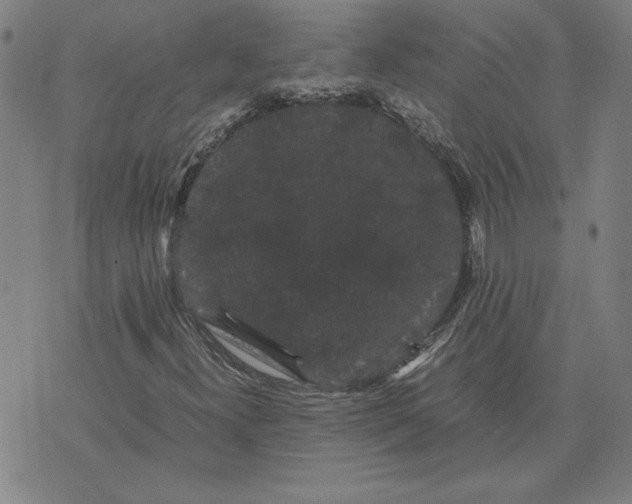 X0000071901300200607281753