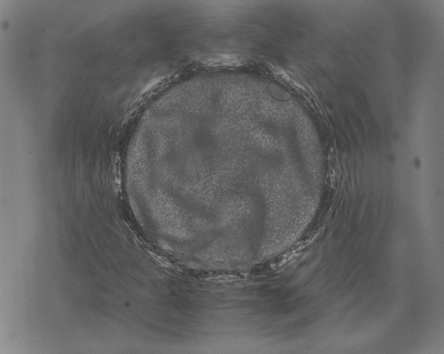 X0000071901301200607281753