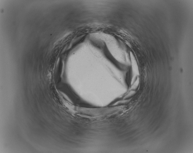 X0000071901302200607281753