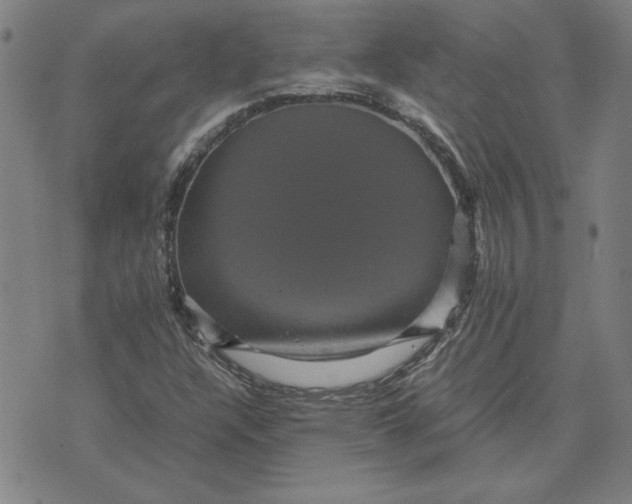 X0000071901304200607281753