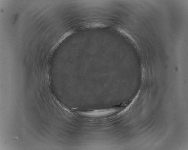 X0000071901305200607281753