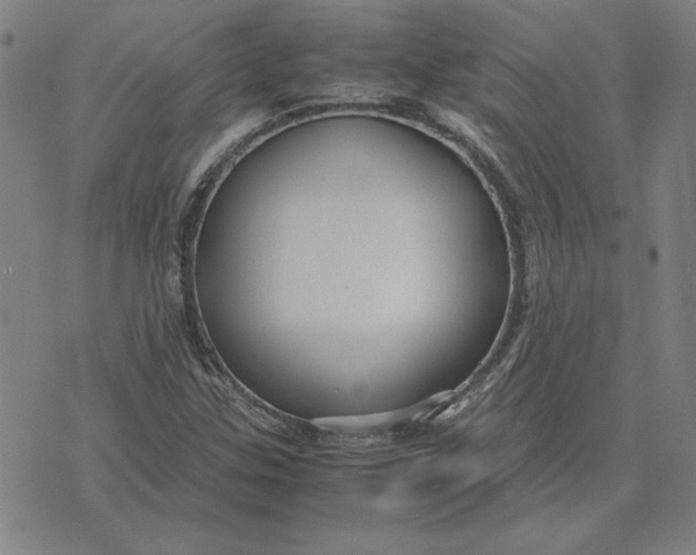 X0000071901307200607281753