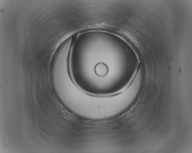 X0000071901308200607281753