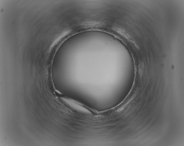 X0000071901309200607281753