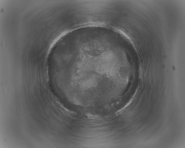 X0000071901310200607281753