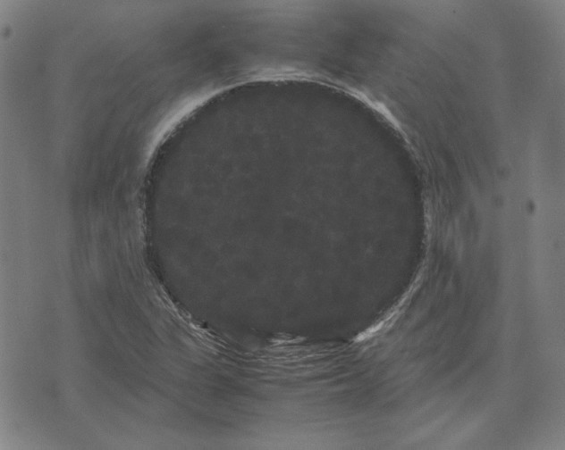 X0000071901311200607281753