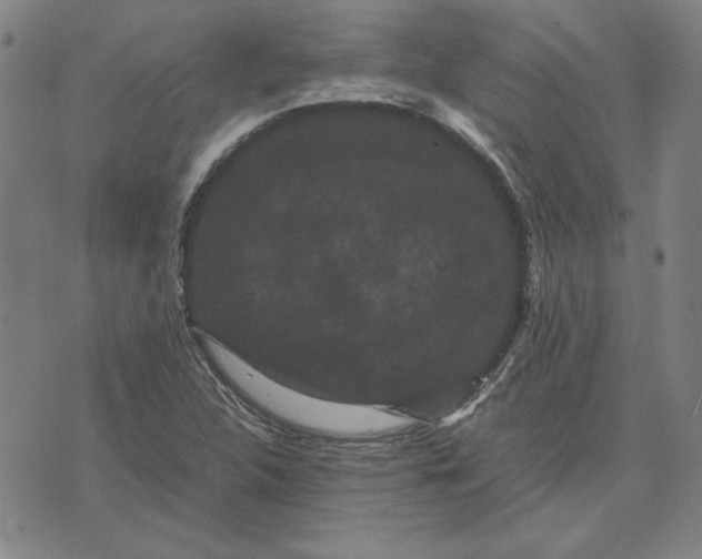 X0000071901312200607281753