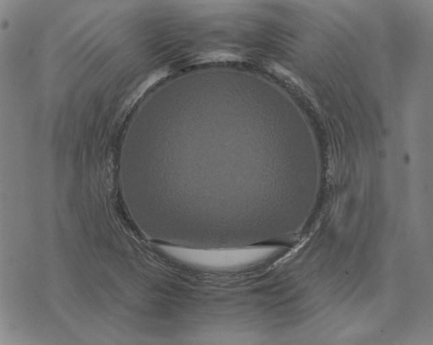 X0000071901313200607281753