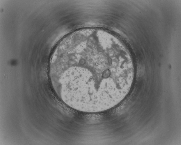 X0000071901314200607281753