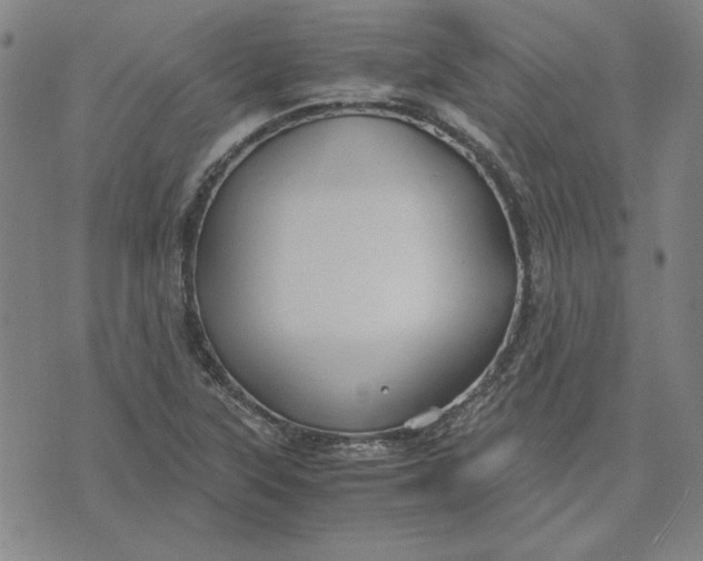 X0000071901315200607281753