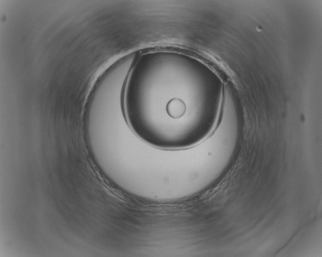 X0000071901316200607281753