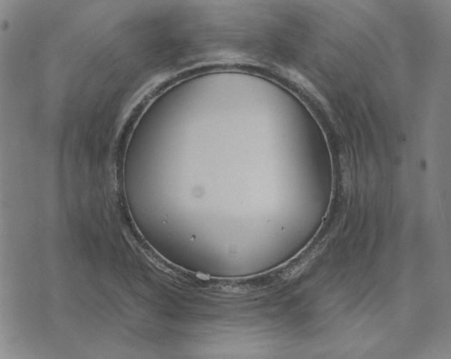 X0000071901318200607281753