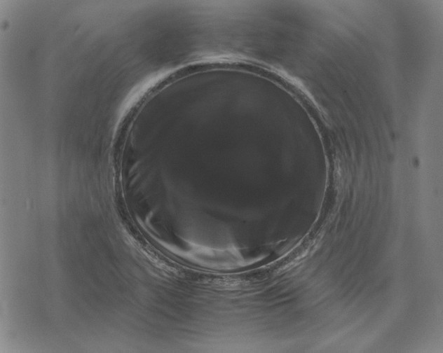 X0000071901319200607281753