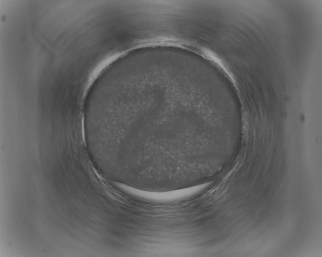 X0000071901320200607281753