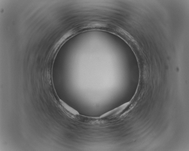 X0000071901321200607281753