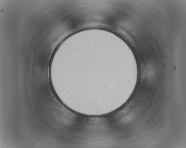 X0000071901322200607281753