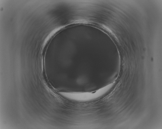 X0000071901323200607281753