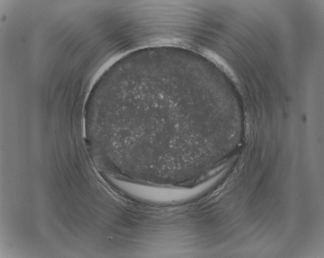 X0000071901324200607281753