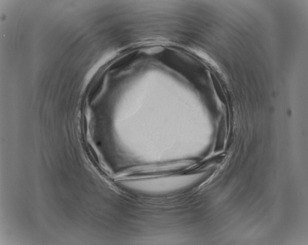 X0000071901325200607281753