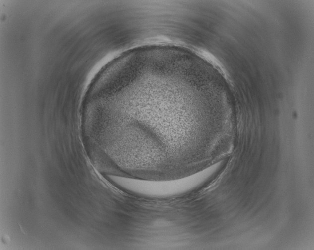 X0000071901326200607281754