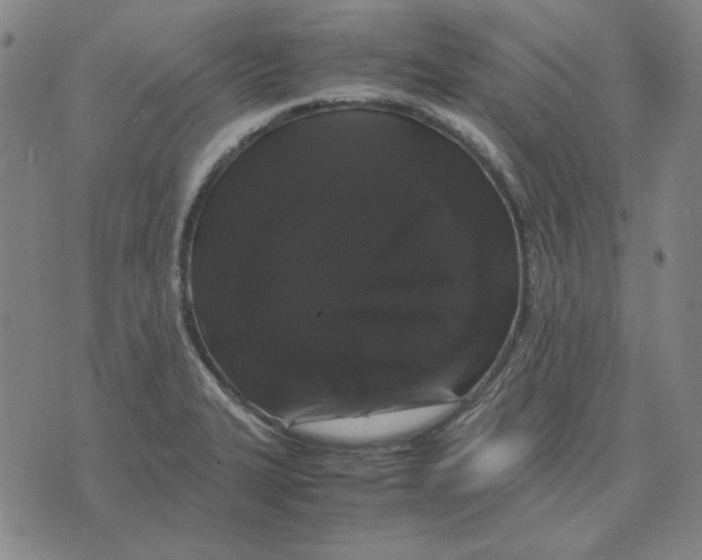 X0000071901327200607281754