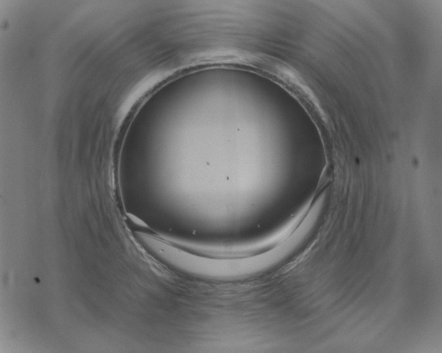 X0000071901328200607281754