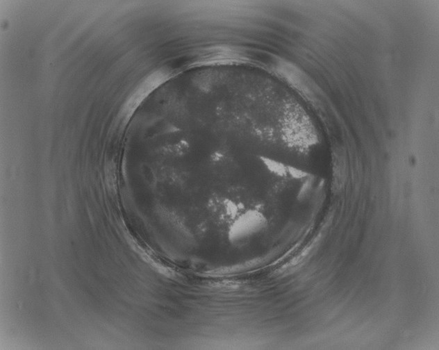 X0000071901329200607281754