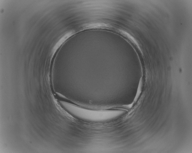 X0000071901330200607281754