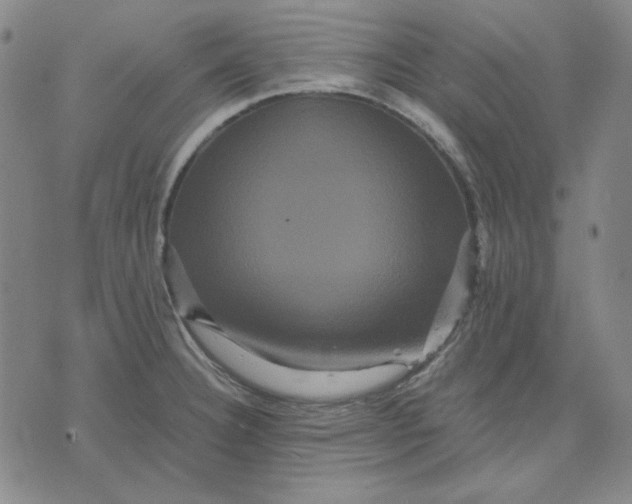 X0000071901332200607281754