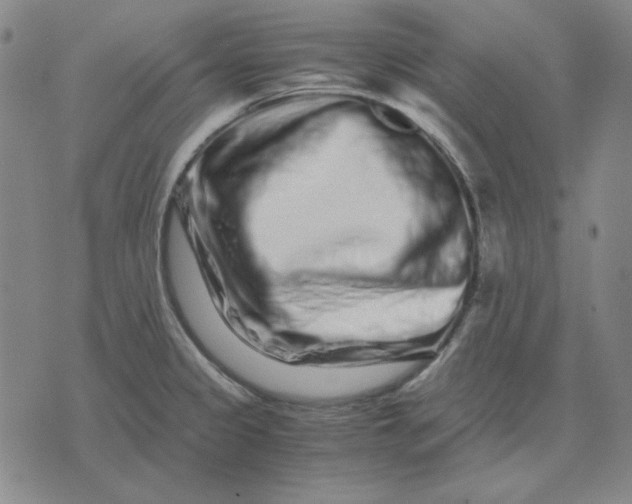 X0000071901333200607281754