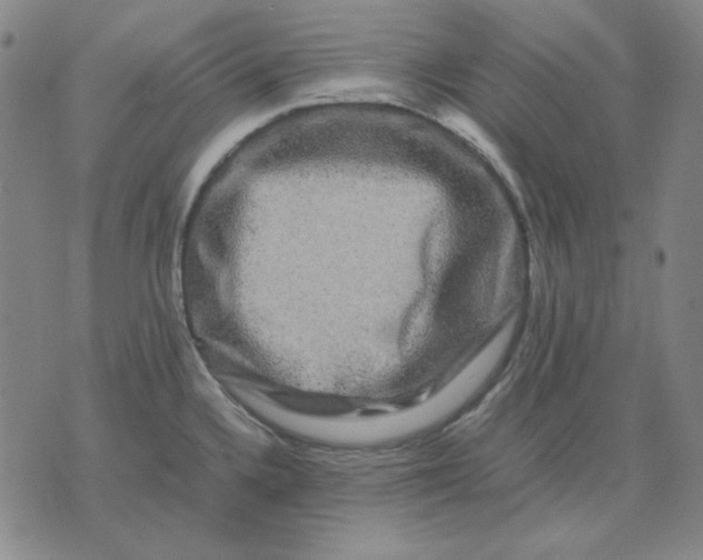 X0000071901336200607281754