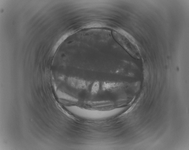 X0000071901337200607281754