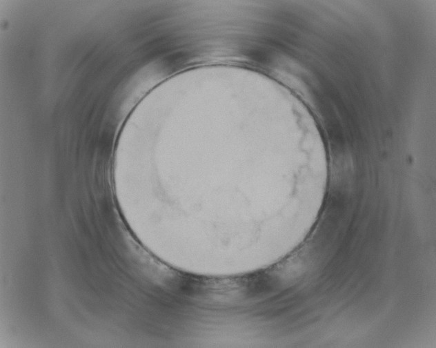 X0000071901338200607281754