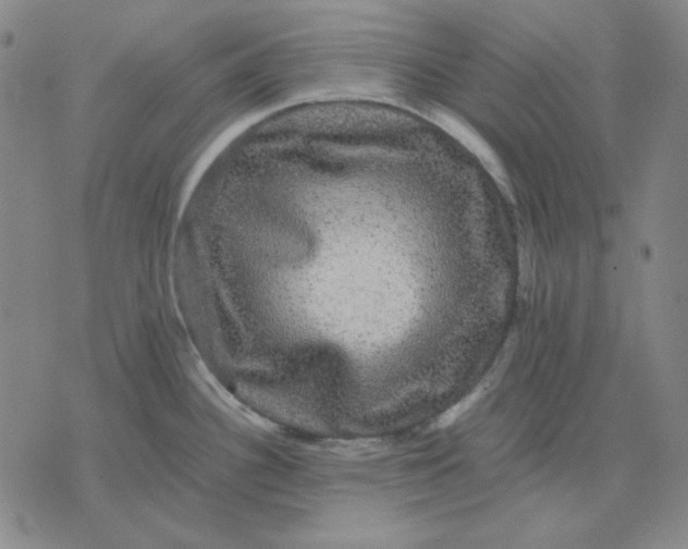 X0000071901340200607281754