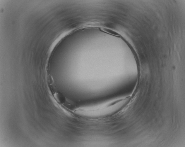 X0000071901341200607281754