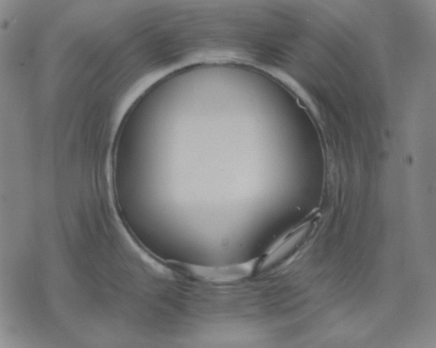 X0000071901343200607281754