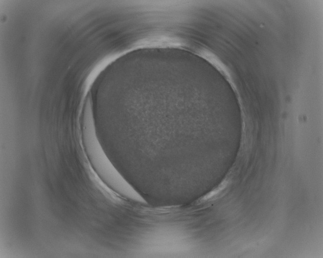 X0000071901344200607281754