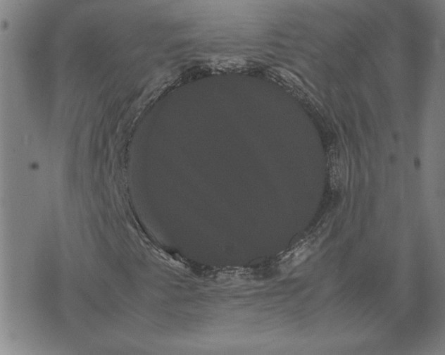 X0000071901345200607281753