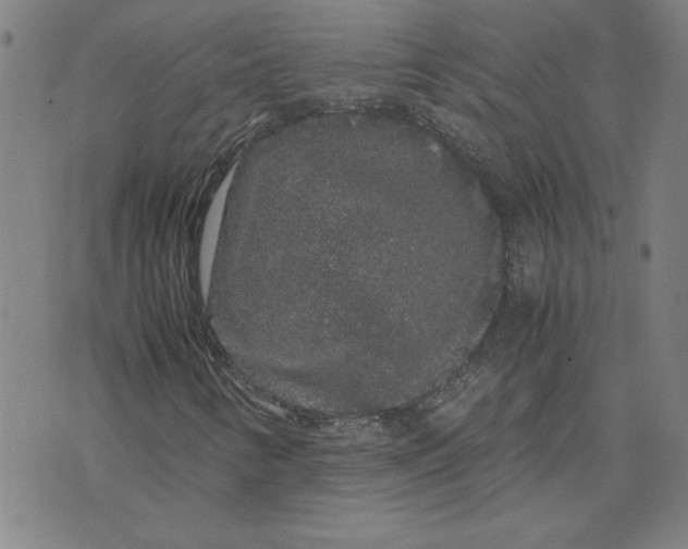 X0000071901346200607281753