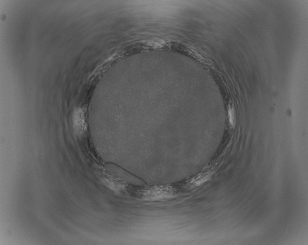 X0000071901347200607281753