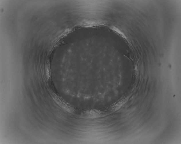 X0000071901348200607281753