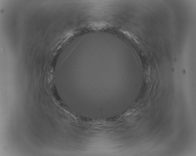 X0000071901349200607281753