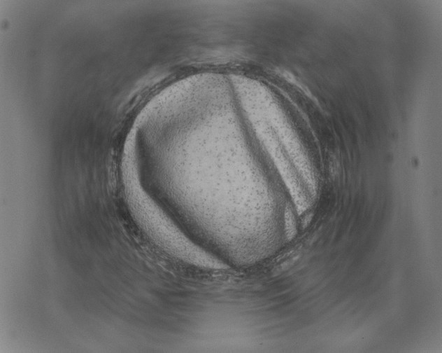 X0000071901350200607281753