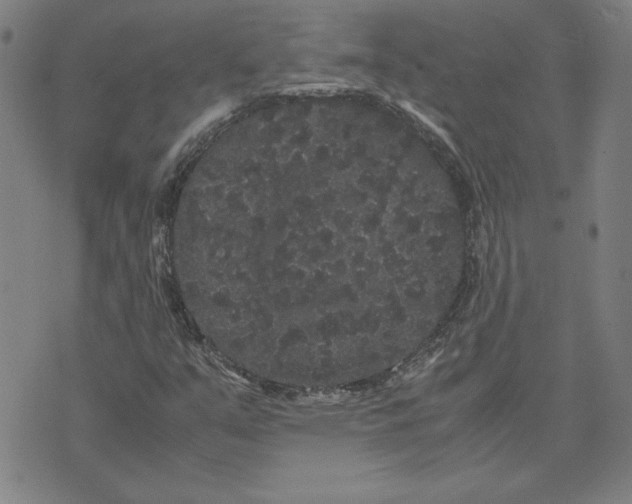 X0000071901351200607281753