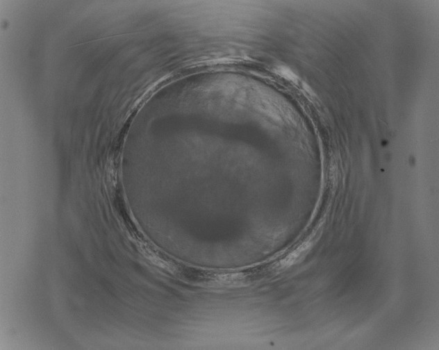 X0000071901353200607281753