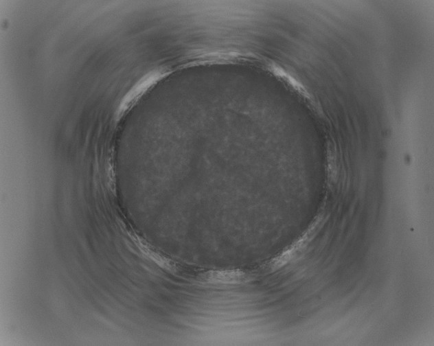 X0000071901354200607281753