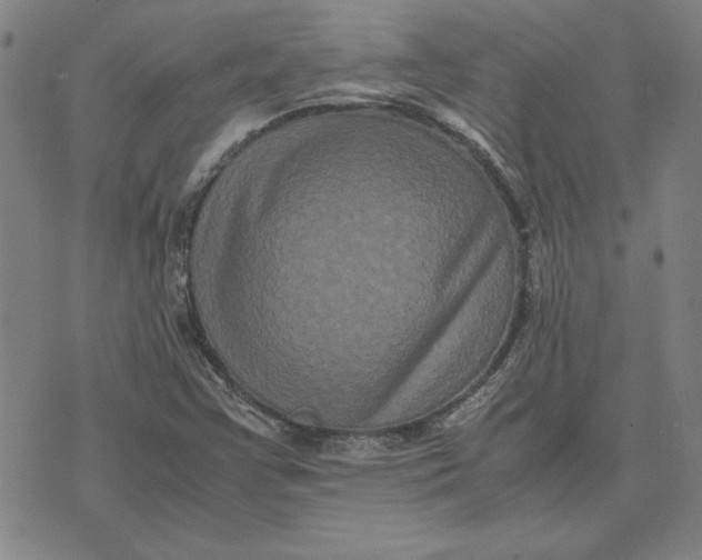 X0000071901355200607281753