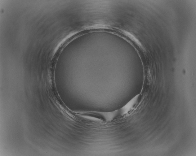 X0000071901356200607281753